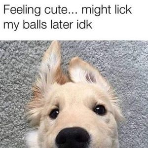 Meet your Posher, Terry